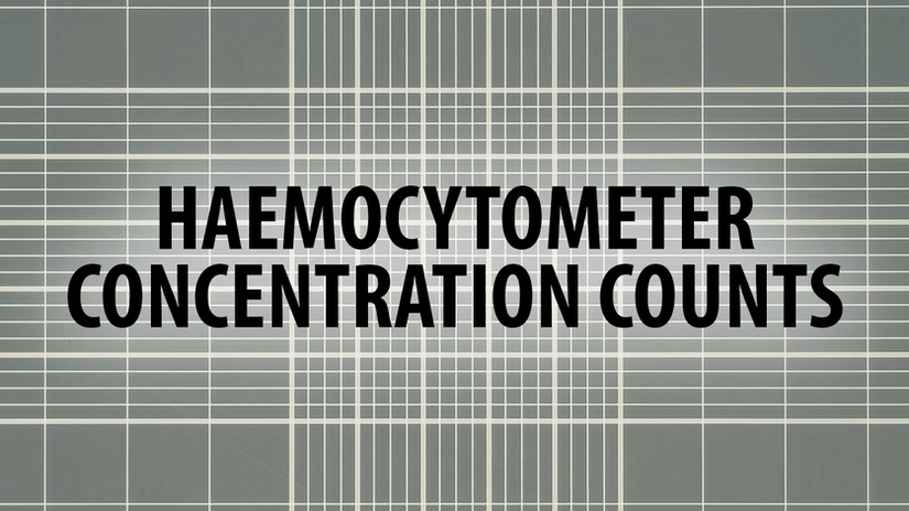 Calculate sperm concentration using a haemocytometer